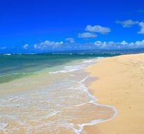 waterline of Paradise Tropical Beach