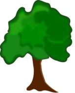 draw tree with green foliage