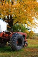 tractor on a farm in autumn