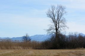Nature in Bavaria