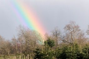 landscape of rainbow as a natural sight