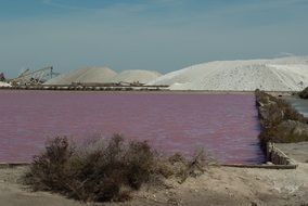 landscape of Camargue Acute in France