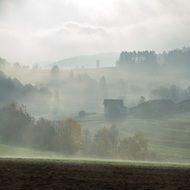 fascinating Fog Landscape