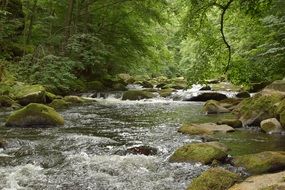 river in the rocks among the green forest