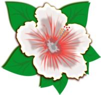 clip art of white spring flower
