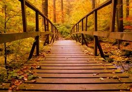 Beautiful wooden bridge among the colorful forest with trees in autumn