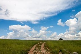 rural road among a green field under white clouds