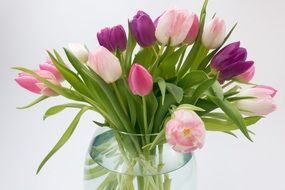 spring bouquet of colorful tulips