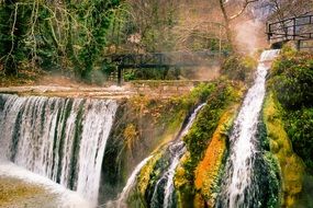 photo of a waterfall and a bridge in a wildlife park