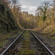 railway rails in the forest