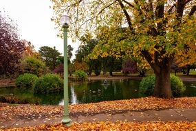 Autumn in a Sacramento