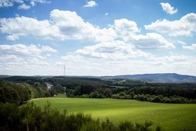 Landscape with the forest and fields
