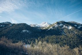 Forest on the mountain with snow