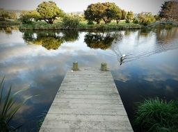 boardwalk on still water in beautiful summer landscape