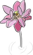 drawing of a pink flower on a white background