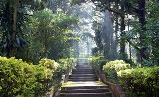 Nature Sunlight Sunshine