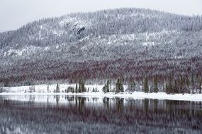 black and white winter landscape of a mountain lake