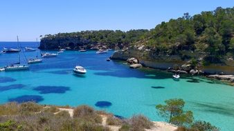 sea coast with yachts landscape