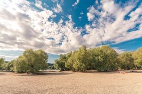 summer day on the bank of the danube
