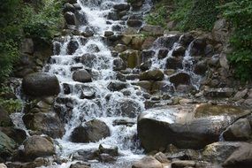 shallow waterfall in the forest