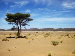 Landscape Picture of Morocco Desert