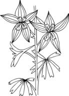 painted flower with unusual leaves