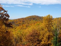 Autumn Landscape of appalachians