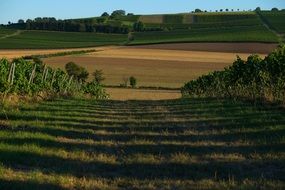 gorgeous Lane Landscape