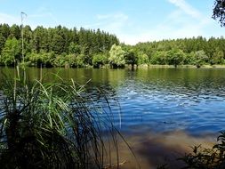 landscape of a lake in summer