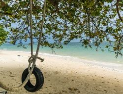 beach homemade swing