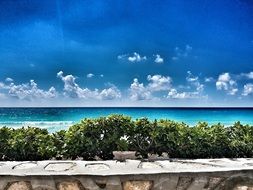 Sea Beach in Cancun