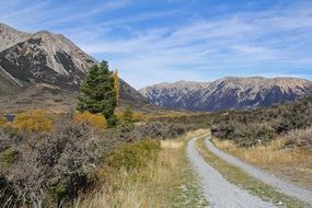 autumn in New Zealand