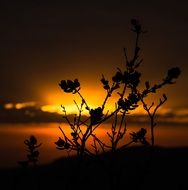 dawn in brazil