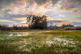 Landscape with the swamp