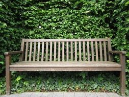 Wooden Bench in park