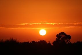 bright sun in the clear orange evening sky