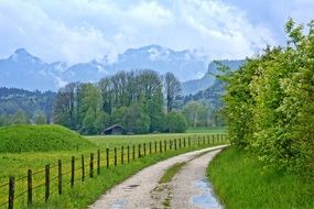 Landscape with pasture fence