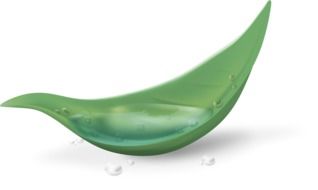 Leaf Green Nature Liquid Water