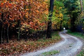 Landscape of Autumn mood