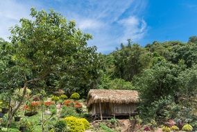 Chiang Mai in Thailand