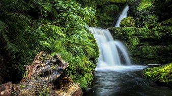 waterfall in Catlins, New Zealand