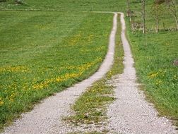 Landscape of long way on a meadow