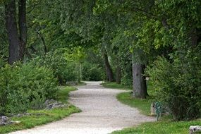 gravel road in a picturesque park