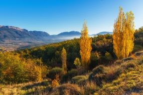 autumn landscape in the morning