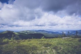 distant view of the bavarian forest near the mountains