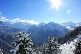 Ski Snow Mountains Landscape