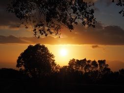 romantic sunlight in the evening