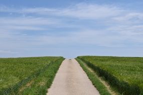 Road between two fields