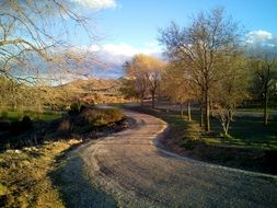 Landscape of path in a park