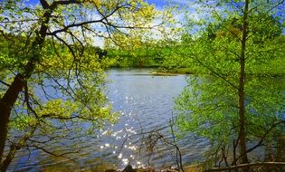 Landscape with the pond